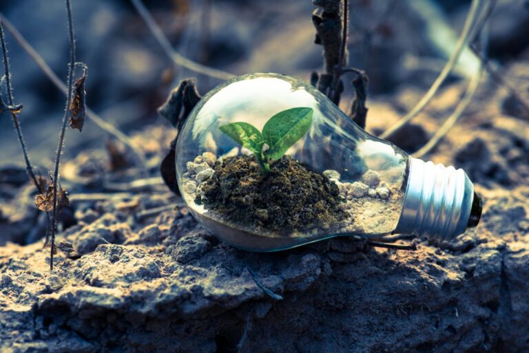 COMTAIN TALK #2: Nachhaltigkeit im Eventbusiness — Greenwashing oder echter Wandel?